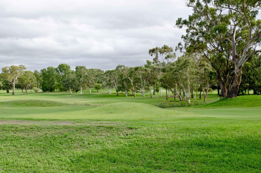 Baybrook Motor Inn Muswellbrook Esterno foto