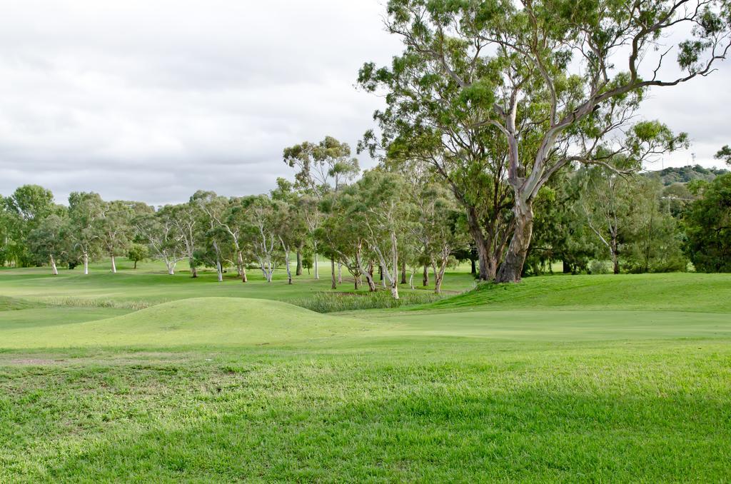 Baybrook Motor Inn Muswellbrook Esterno foto
